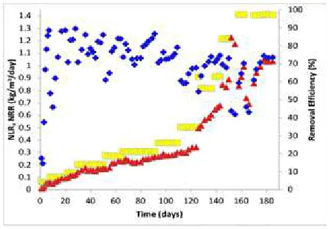 Figure 4. Time course of total NLR, NRR and  Nitrogen removal efficiency (◊ : TN removal efficiency; □ : NLR; Δ : NRR) 