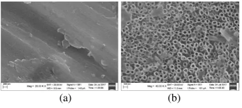 Figure 6.  SEM characerization image of TiAl4V without anodization(a) and nanotube formed through anodization (b)