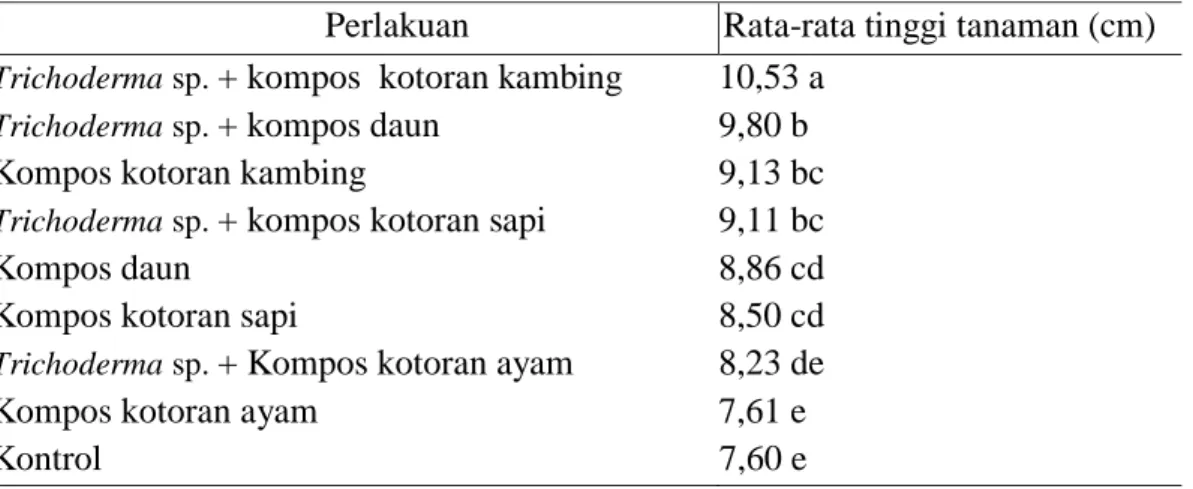 Tabel 4. Rata-rata tinggi tanaman stroberi dalam polybag di Desa Pancasari yang  diberikan Trichoderma sp