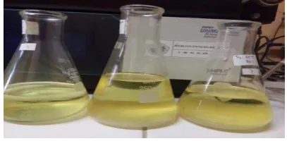 Figure 2.  Biodiesel product  