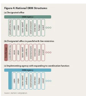 Figure 4: National DRM Structures 