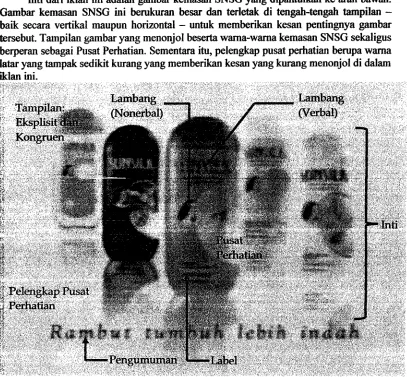 Gambar 5 Struktur Generik Iklan SNSG 