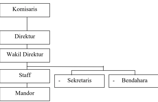 Gambar 1.1 Struktur organisasi di kantor  PT POVRI Jl. F.L. Tobing 