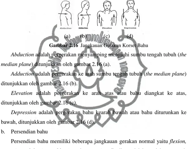 Gambar 2.17  Jangkauan Persendian Bahu 