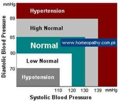 Fig. 1. Blood Pressure Chart 