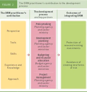 FIgure 2 the DrM practitioner’s contribution to the development process