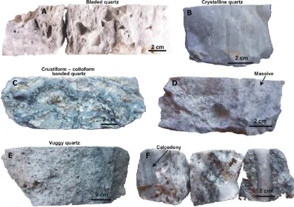 Fig. 2. Hand specimens of Arinem quartz vein from core samples. (A) vuggy and bladed quartz textures  of substage IA/L%60m, (B) barren coarse%grained crystalline quartz of substage IIIB/L275m, (C) banding quartz%sulfide of substage IC/L440m, (D) barren mas