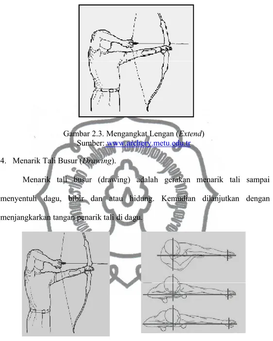 Gambar 2.3. Mengangkat Lengan (Extend) Sumber: www.archery.metu.edu.tr 