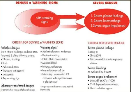 Gambar 2. Kriteria WHO untuk klasifikasi kasus dengue14 