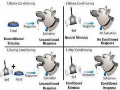 Gambar eksperimen terhadap anjing oleh Pavlov: 