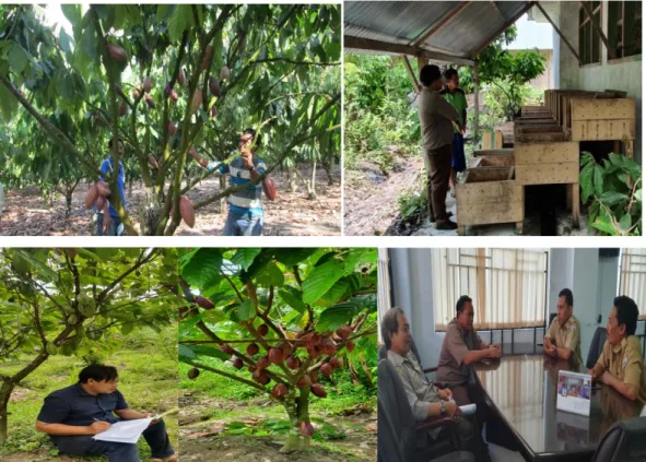 Gambar 2. Dokumentasi kegiatan Kajian penerapan teknologi budidaya kakao ramah  lingkungan untuk peningkatan produktivitas kakao di Sulawesi Barat 
