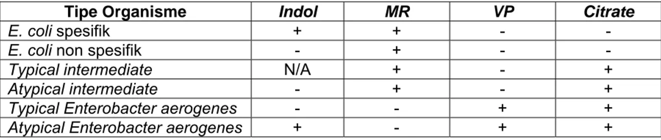 Tabel 2 - Hasil reaksi Indole, Methyl Red, Voges- Proskauer, Citrate (IMViC)  terhadap E