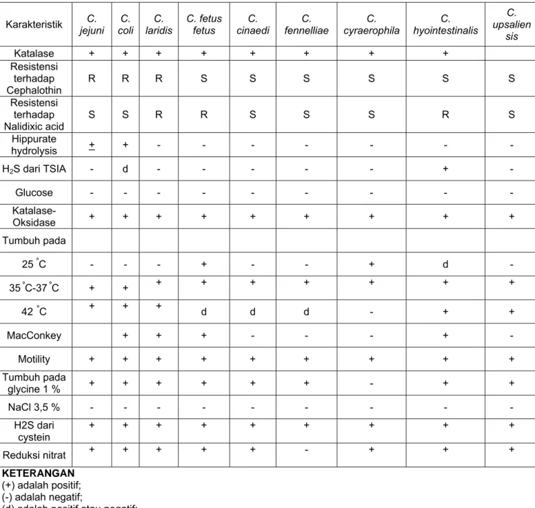 Tabel 6 - Perbandingan  karakteristik spesies Campylobacter    