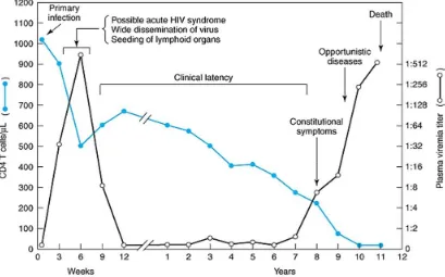 Gambar 3 : Perjalananinfeksi HIV 2