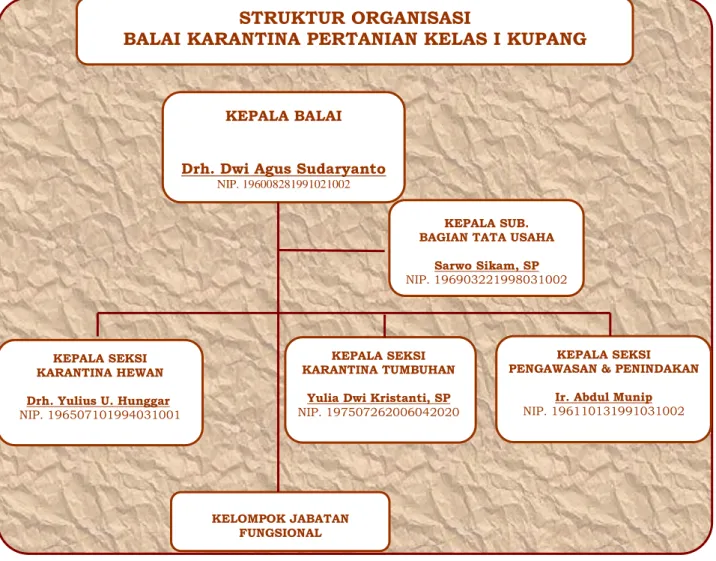 Gambar 1.   Struktur Organisasi Balai Karantina Pertanian  Kelas I Kupang sesuai SK No