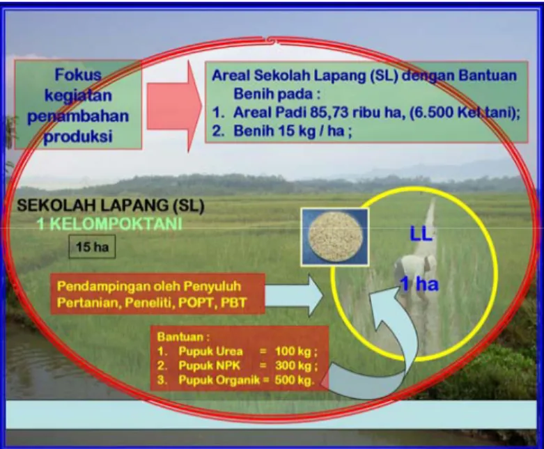 PEDOMAN UMUM SEKOLAH LAPANGAN PTT PADI