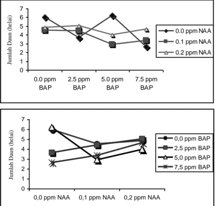 Gambar 2.  Grafik  pengaruh  NAA  dan  BAP    pada  media  WPM  terhadap  jumlah  daun                         umur 12 minggu setelah tanam 