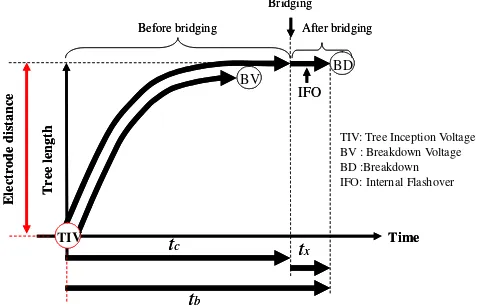 Fig. 1.  Sketch of time to treeing breakdown.