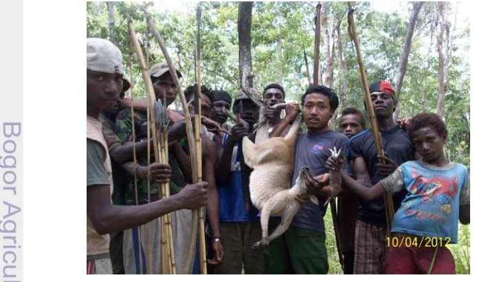 Gambar 6 Hasil buruan kangguru di hutan cadangan kampung Rawa Biru 