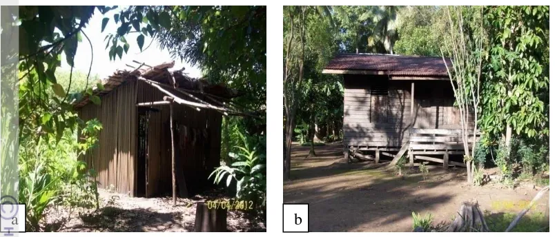 Gambar 7 a) Rumah bivak Suku Kanume; b) Rumah panggung dari pemerintah 