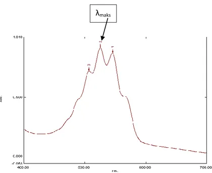 Gambar  3  Spektrum  absorpsi  KMnO 4   0.001  M  (Spektrofotometer  UV-Vis 