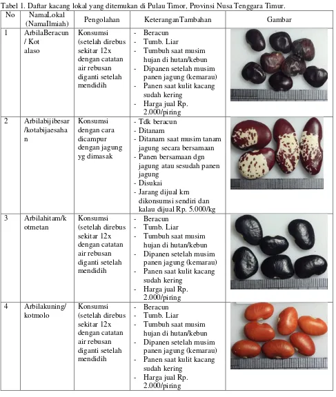 Tabel 1. Daftar kacang lokal yang ditemukan di Pulau Timor, Provinsi Nusa Tenggara Timur