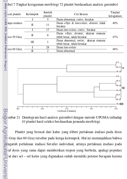 Tabel 7 Tingkat keragaman morfologi 72 planlet berdasarkan analisis gerombol 