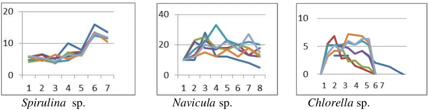 Gambar 1.  Pertumbuhan mikroalga selama 7 hari kultur pada media limbah cair tapioka dengan konsentrasi NaCl berbeda 