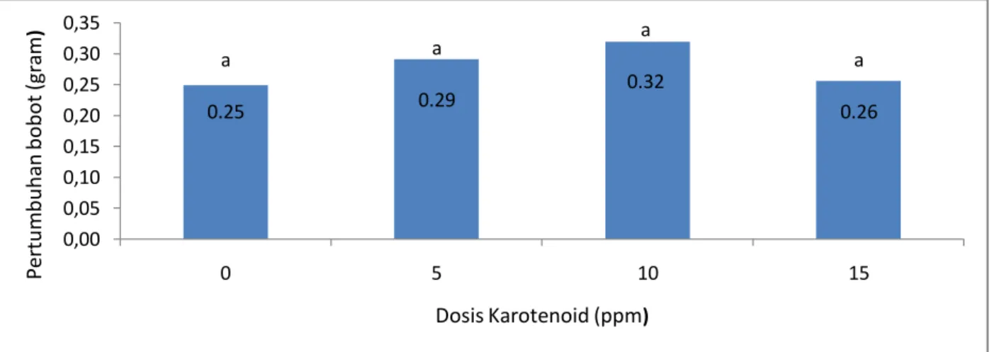 Gambar  3.  Histogram  Hubungan  Antara  Dosis  Pengkayaan  Karotenoid  Terhadap  Pertumbuhan  Bobot  Larva  Ikan  Kakap  Putih  (Lates  calcarifer)  Pada  Setiap  Perlakuan 