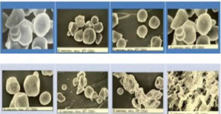 Gambar 2.1 Contoh proses gelatinasi saat pati mendapatkan panas dari kanan atas ke kiri bawah Sumber: Yanto Widiyanto, 2011 (http://pemulatempatuntukbelajar-widiyanto.blogspot.com)