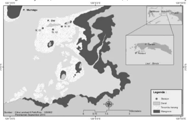 Gambar 1. Peta lokasi penelitian ekhinodermata di perairan Pulau Osi, Seram Barat. 