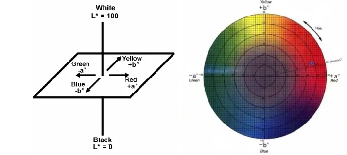 Gambar 20. Diagram warna Hunter (HunterLab, 2008) 