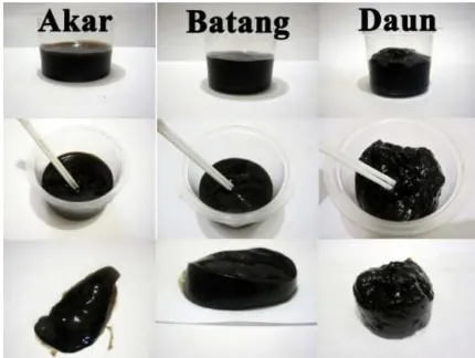 Gambar 29. Gel cincau hitam dengan konsentrasi 100 gram tepung tapioka/liter ekstrak 
