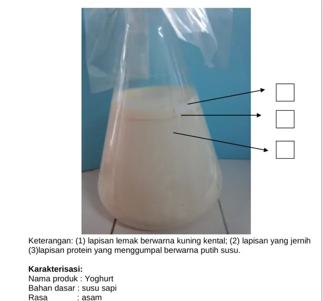 Gambar 5. Karakterisasi Yoghurt 