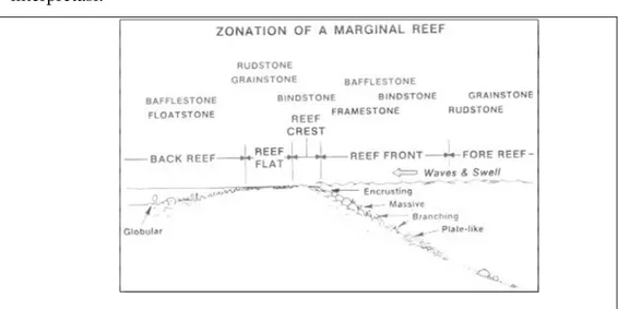 Gambar 3.2. Zonasi sederhana ekosistem terumbu karang secara umum (Newton  and Laporte, 1989) 