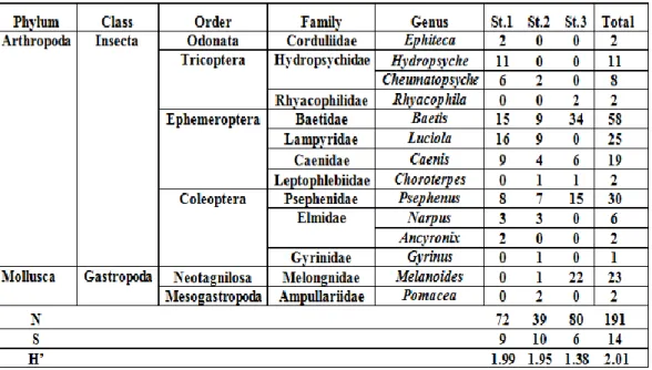 Tabel 2. Kelimpahan, Kekayaan dan Keanekaragaman makrozoobentos di sungai   Talawaan 