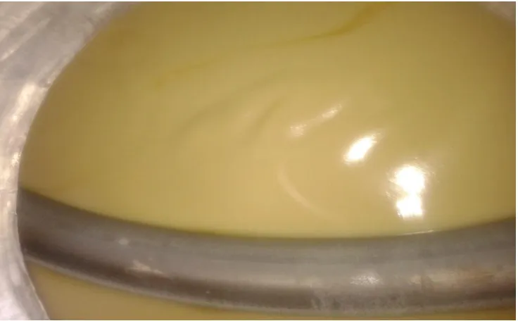 Gambar 4.2 RBDPO (Refine Blanch Deodorizen Palm Oil) pada suhu 2,5,5oC 
