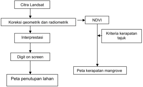 Gambar 6. Tahap Analisa Data Landsat untuk pembuatan                         peta tutupan lahan dan peta kerapatan mangrove 