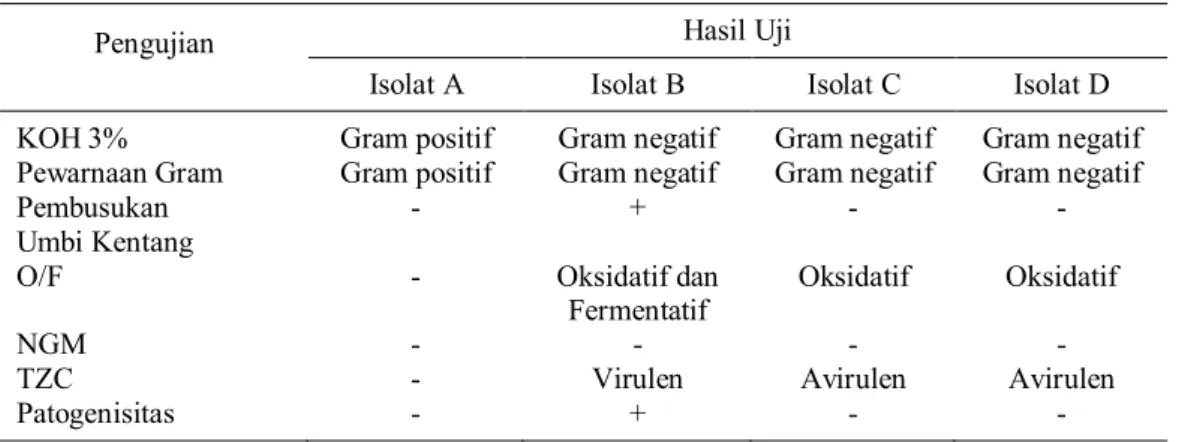 Tabel 1.  Hasil uji karakterisasi pada isolat bakteri A, B, C dan D Pengujian  Hasil Uji 