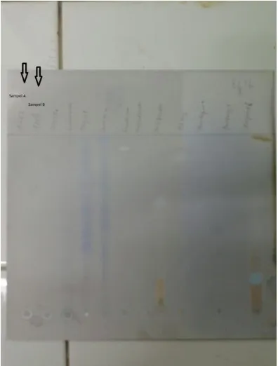 Gambar 5. Hasil uji Kromatografi Lapis Tipis pada pestisida golongan Organoklorin (Sampel A dan B) 