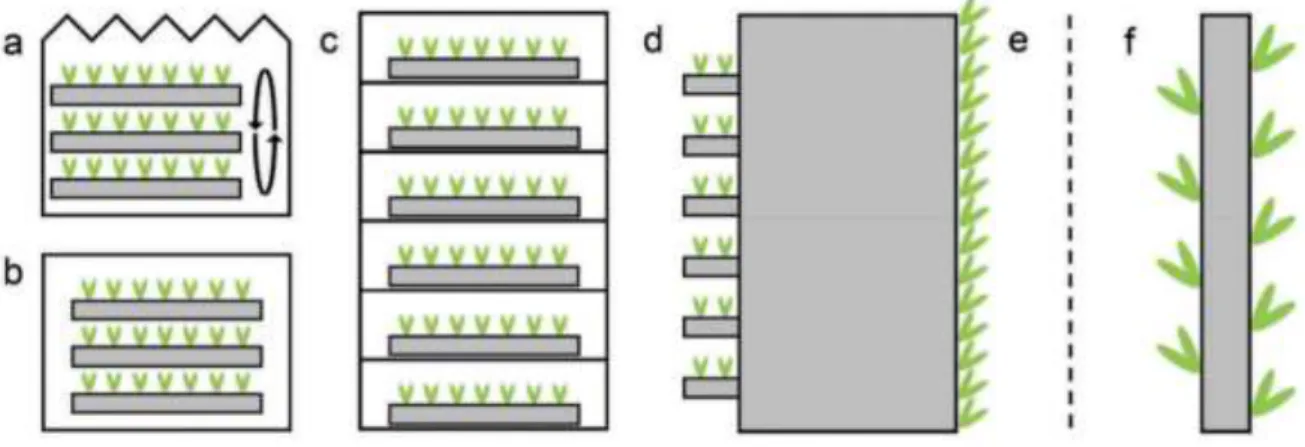 Gambar diatas merupakan representasi tipe pertanian vertikal (VF). (a) Green  House,  pendekatan  pertanian  vertikal  yang  terdiri  dari  beberapa  level  permukaan horizontal yang tumbuh dan ditempatkan di rumah kaca