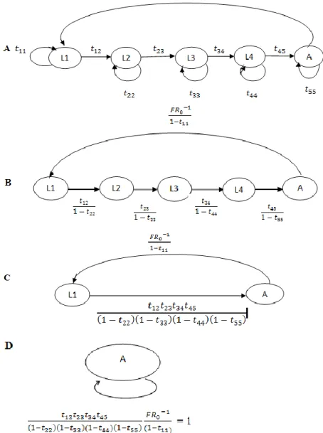 Gambar 2.   Reduksi Graf  (A)  graf Awal, (B) reduksi loop pada 
