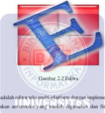 Gambar 2.2 Editra 