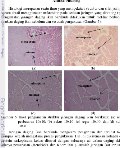 Gambar 5 Hasil pengamatan struktur jaringan daging ikan barakuda: (a) segar 