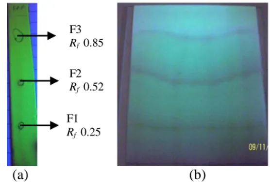 Gambar  4  Noda pemisahan di bawah lampu  UV  254  nm:  KLT  (a),  KLT  preparatif dengan eluen BAA (b)
