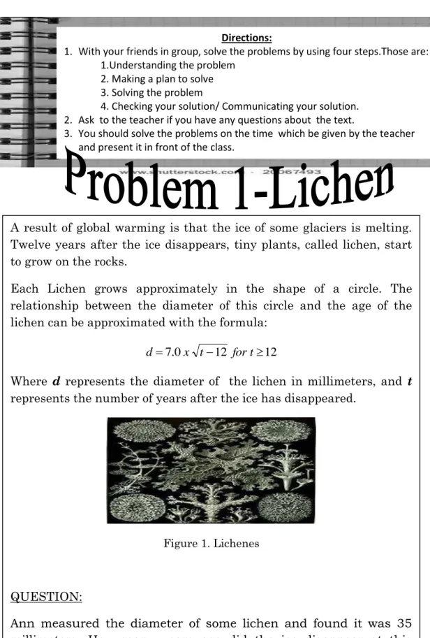 Figure 1. Lichenes 