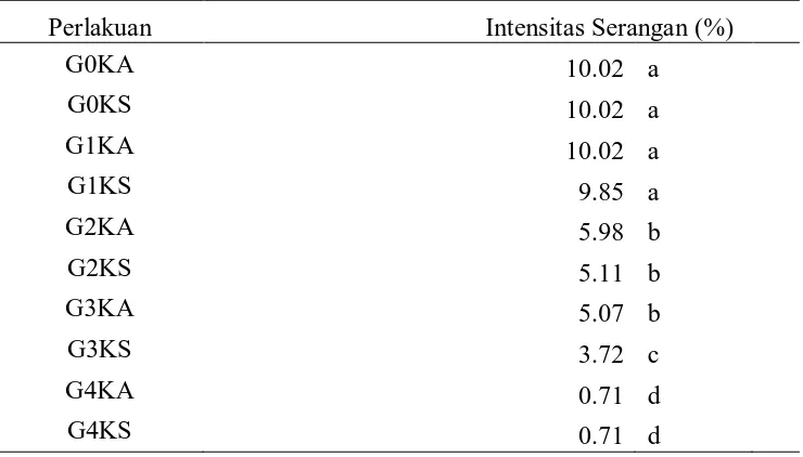 Tabel 4. Intensitas Serangan (%) F.o. f.sp. passiflora yang diberi G.virens dan kompos