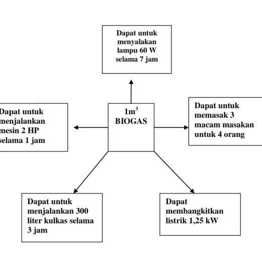 Gambar 3. Berbagai pemanfaatan dari biogas 