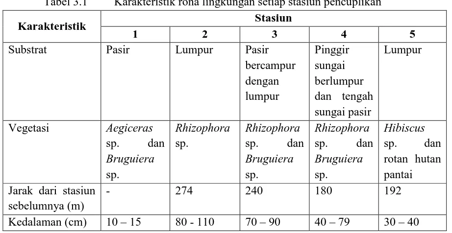 Tabel 3.1 Karakteristik rona lingkungan setiap stasiun pencuplikan 