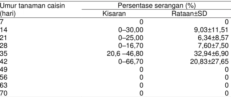 Tabel 5.   Persentase serangan Lipaphis erysimi Kalt. pada tanaman caisin di daeran Soak Sukarame Palembang 